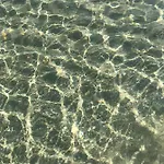 La Coffa Noto